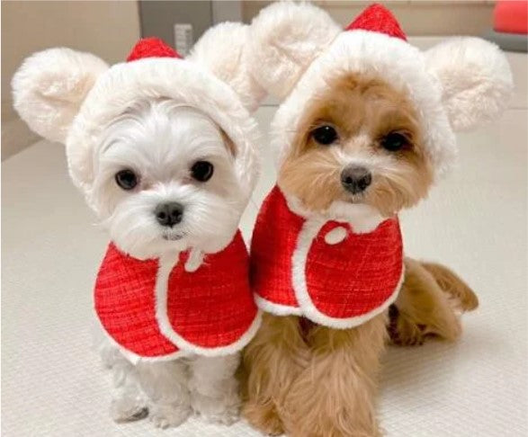 ウィズワン クリスマス 犬 ケープ ポンチョ サンタクロース イベント 猫 犬服 おしゃれ 男の子 女の子 with WaN