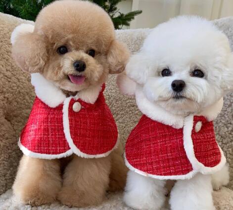 ウィズワン クリスマス 犬 ケープ ポンチョ サンタクロース イベント 猫 犬服 おしゃれ 男の子 女の子 with WaN