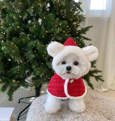 ウィズワン クリスマス 犬 ケープ ポンチョ サンタクロース イベント 猫 犬服 おしゃれ 男の子 女の子 with WaN