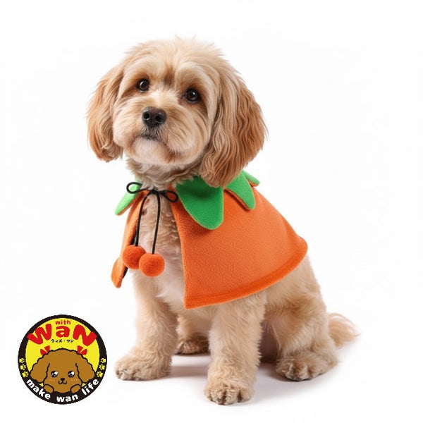 No.犬服ハンドメイド　ハロウィンワンピース halloween onepiece S ~ XL 2color / 犬の服 犬服 ワンピース 秋冬