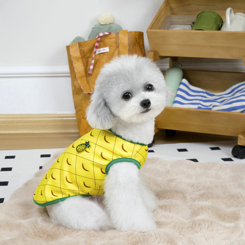 セール ウィズワン スイカ パイナップル タンクトップ 犬服 かわいい 男の子 女の子 おしゃれ with WaN
