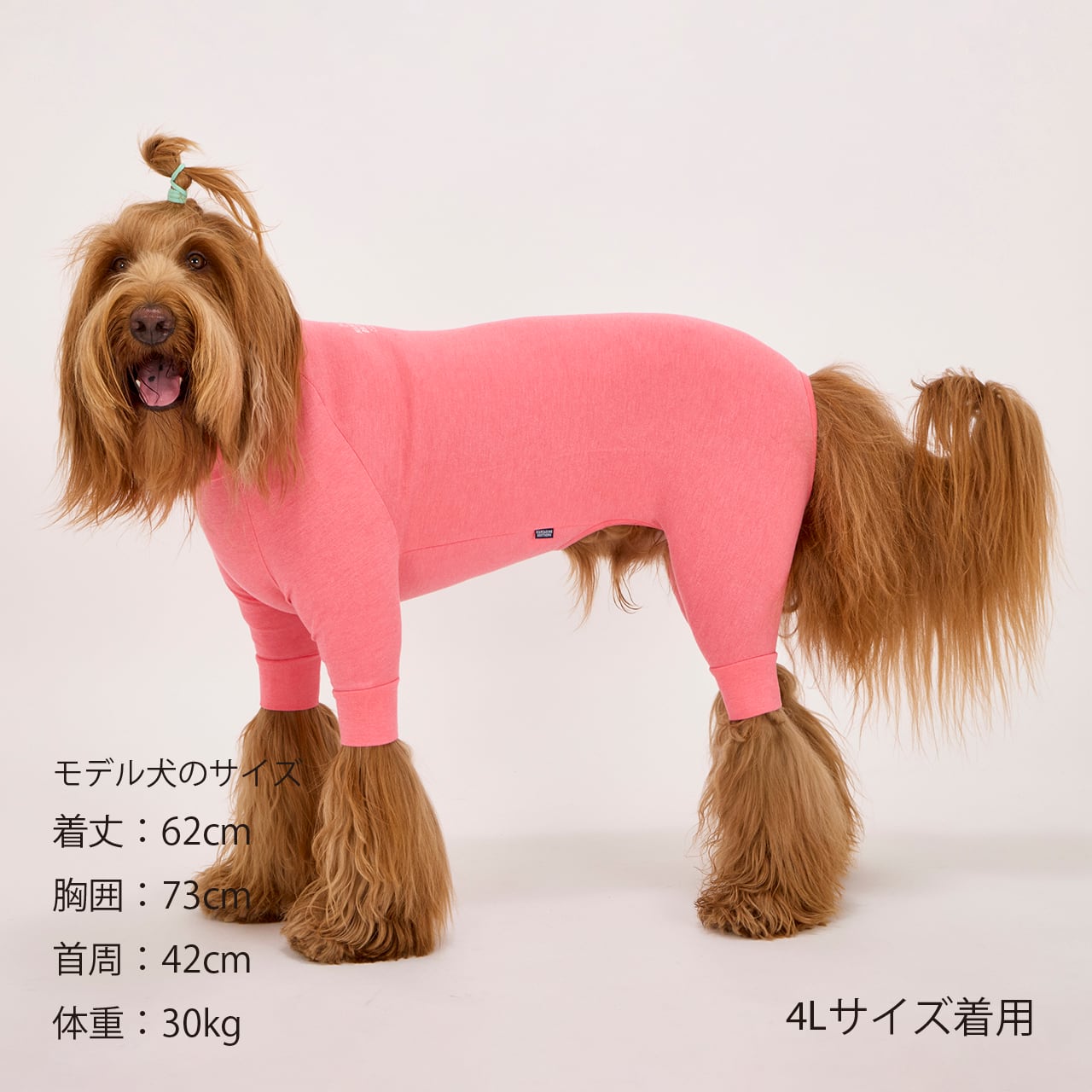 マンダリンブラザーズ スキンタイトスーツ XL-5L ロンパース つなぎ ドッグウェア 犬服 男の子 女の子 おしゃれ MANDARINE BROTHERS