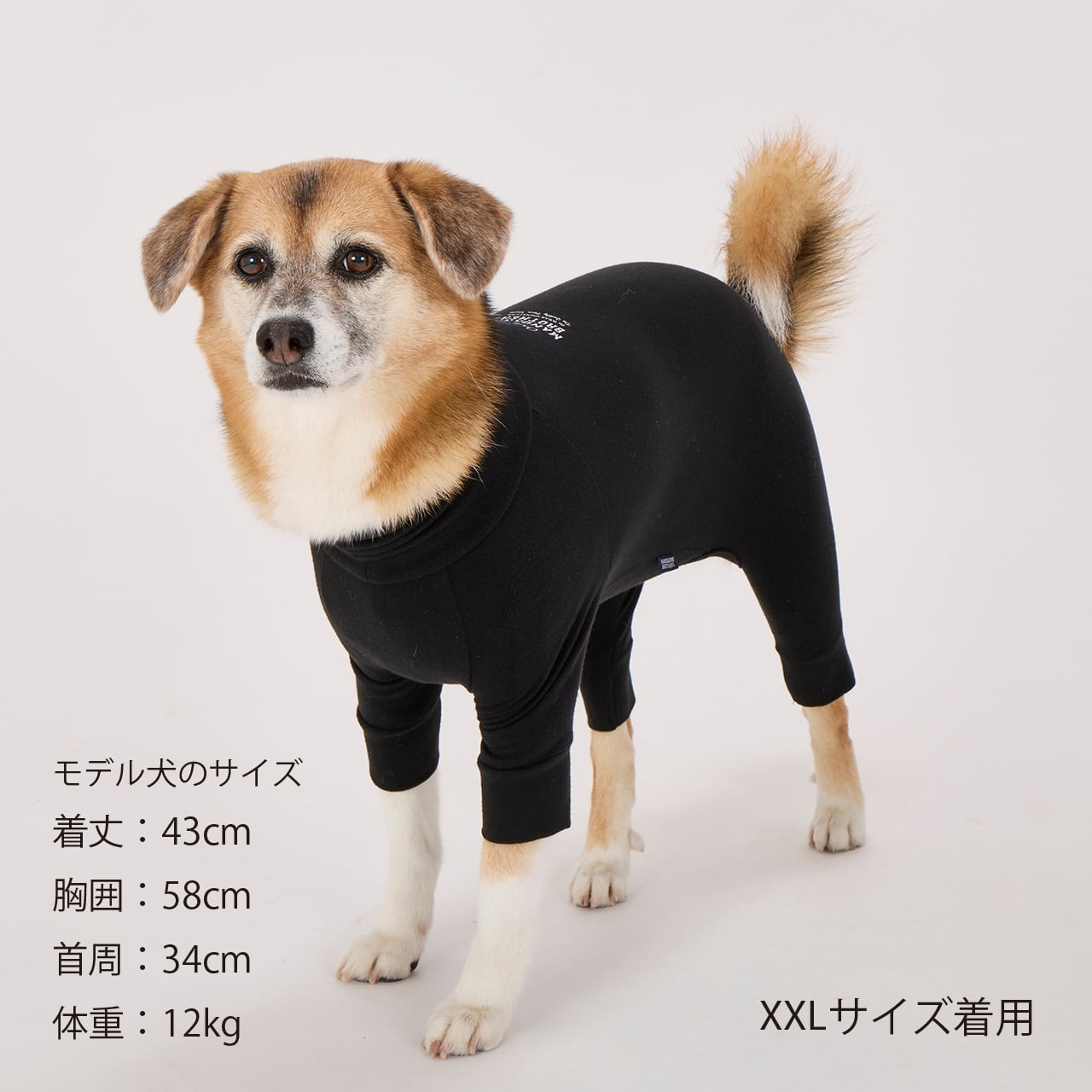 マンダリンブラザーズ スキンタイトスーツ XL-5L ロンパース つなぎ ドッグウェア 犬服 男の子 女の子 おしゃれ MANDARINE BROTHERS