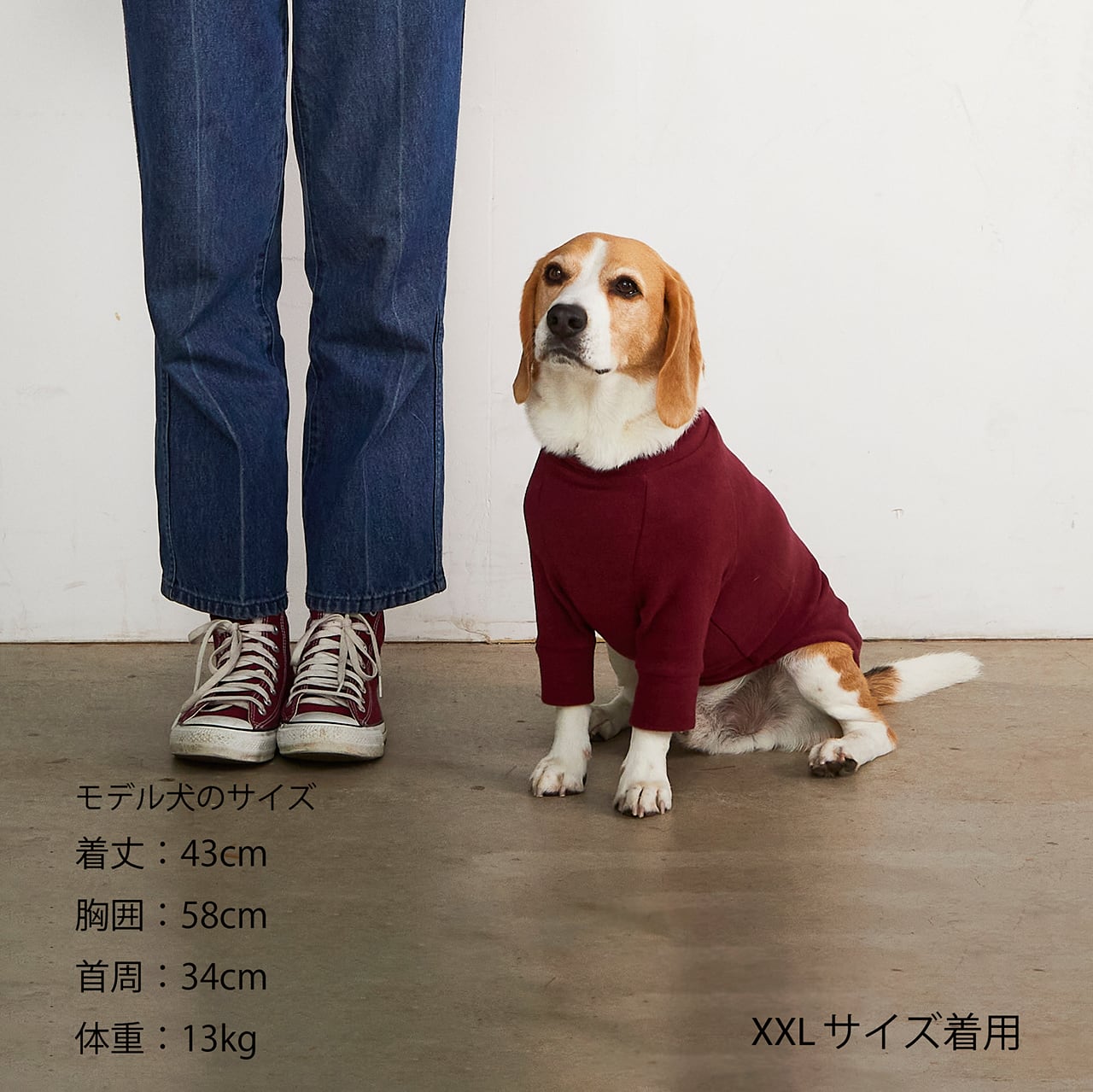マンダリンブラザーズ スキンタイトウォームTシャツ 秋 冬 防寒 ドッグウェア 犬服 男の子 女の子 おしゃれ MANDARINE BROTHERS