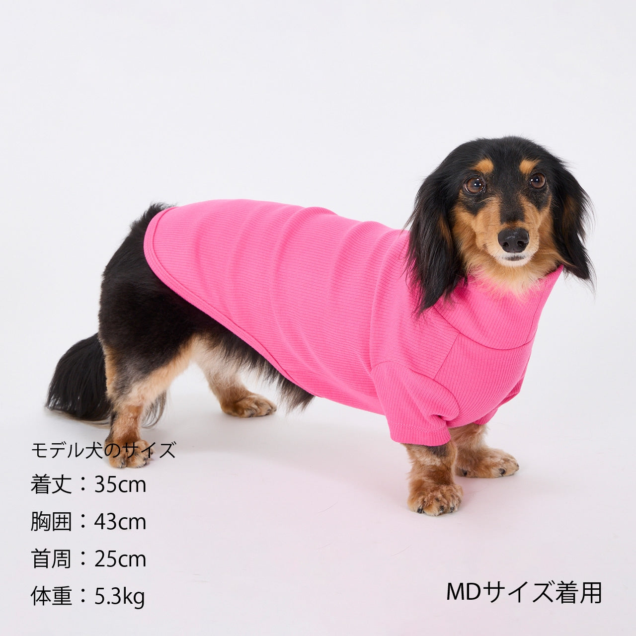マンダリンブラザーズ ベーシックリブTシャツ 長袖 ドッグウェア 犬服 男の子 女の子 おしゃれ MANDARINE BROTHERS