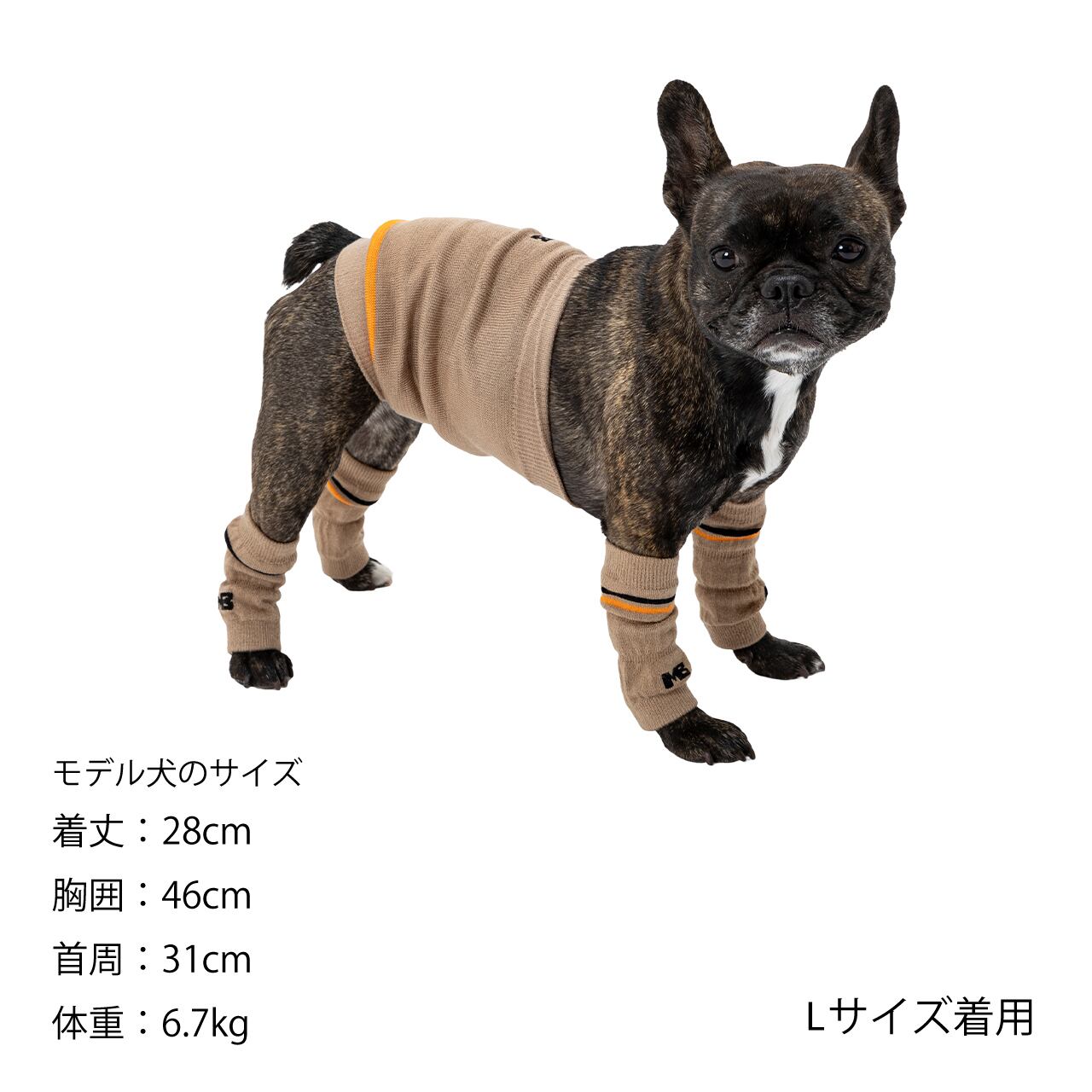 マンダリンブラザーズ ベリーウォーマー はらまき 腹巻 防寒 腸活 ドッグウェア 犬服 男の子 女の子 おしゃれ MANDARINE BROTHERS