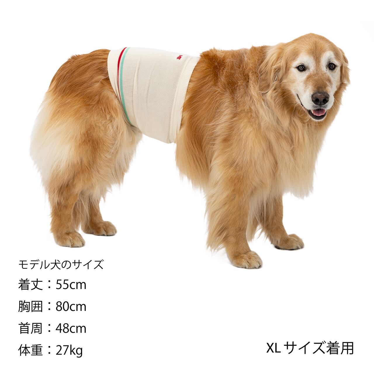 マンダリンブラザーズ ベリーウォーマー はらまき 腹巻 防寒 腸活 ドッグウェア 犬服 男の子 女の子 おしゃれ MANDARINE BROTHERS