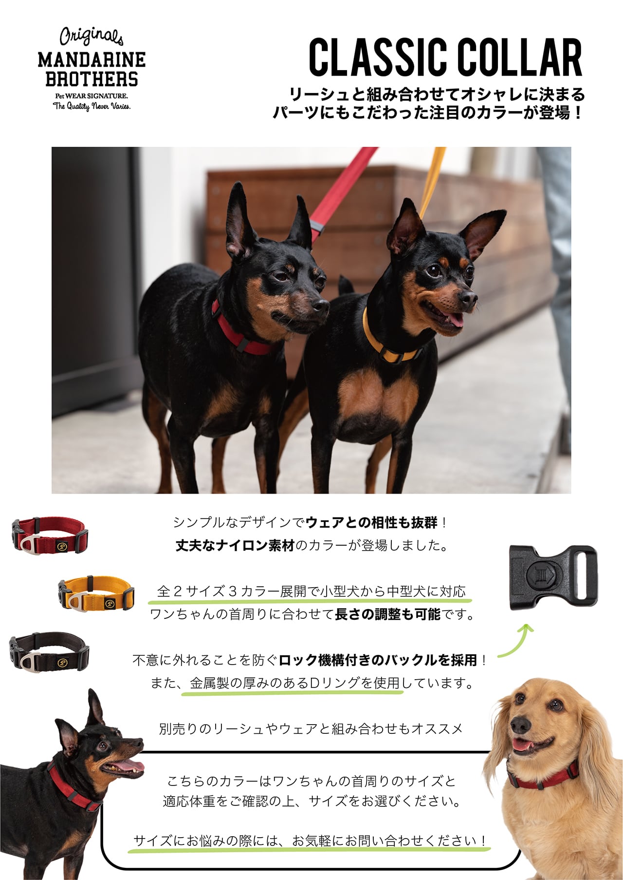 マンダリンブラザーズ クラシックカラー 首輪 犬 猫 男の子 女の子 おしゃれ MANDARINE BROTHERS ケア用品