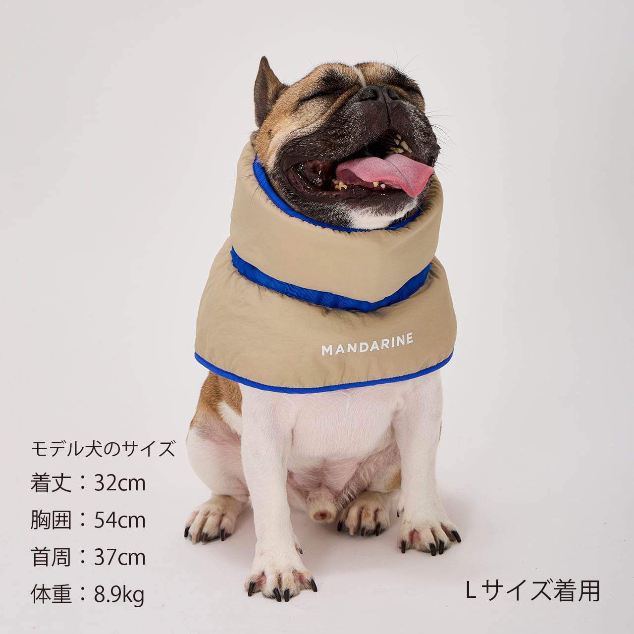 セール マンダリンブラザーズ クーリングカラー ドッグウェア 接触冷感 クール 熱中症対策 ネッククーラー 男の子 女の子 おしゃれ MANDARINE BROTHERS