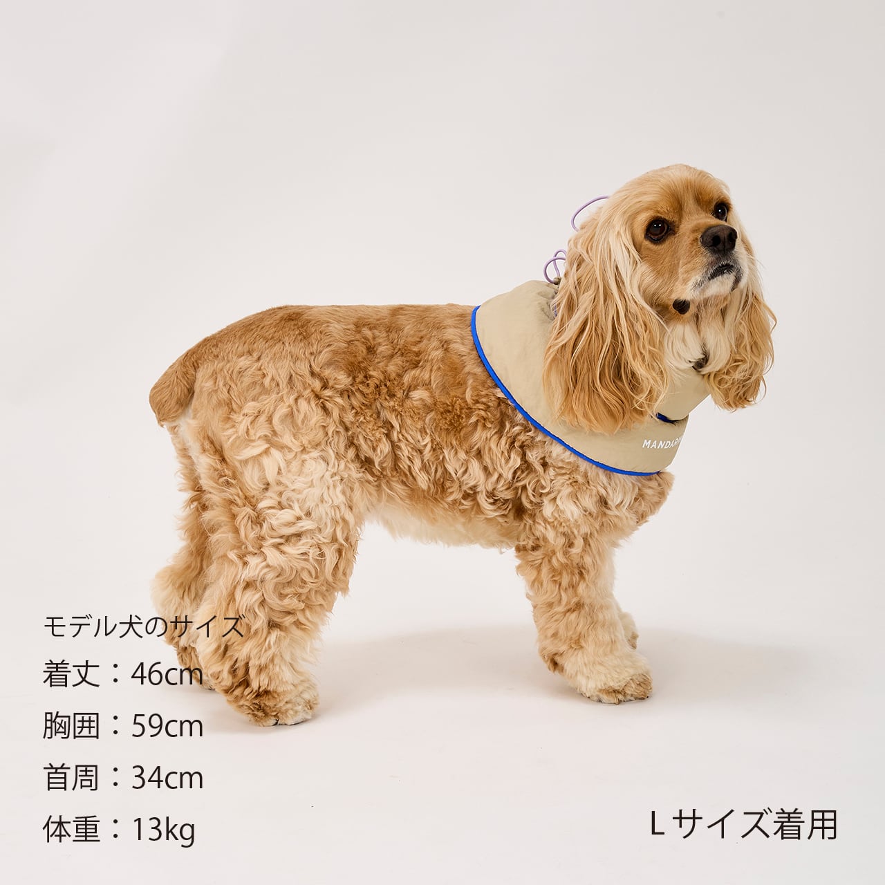 セール マンダリンブラザーズ クーリングカラー ドッグウェア 接触冷感 クール 熱中症対策 ネッククーラー 男の子 女の子 おしゃれ MANDARINE BROTHERS