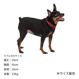 マンダリンブラザーズ クラシックカラー 首輪 犬 猫 男の子 女の子 おしゃれ MANDARINE BROTHERS ケア用品