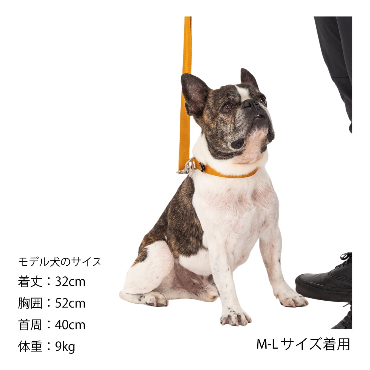 マンダリンブラザーズ クラシックリーシュ リード 犬 猫 男の子 女の子 おしゃれ MANDARINE BROTHERS ケア用品