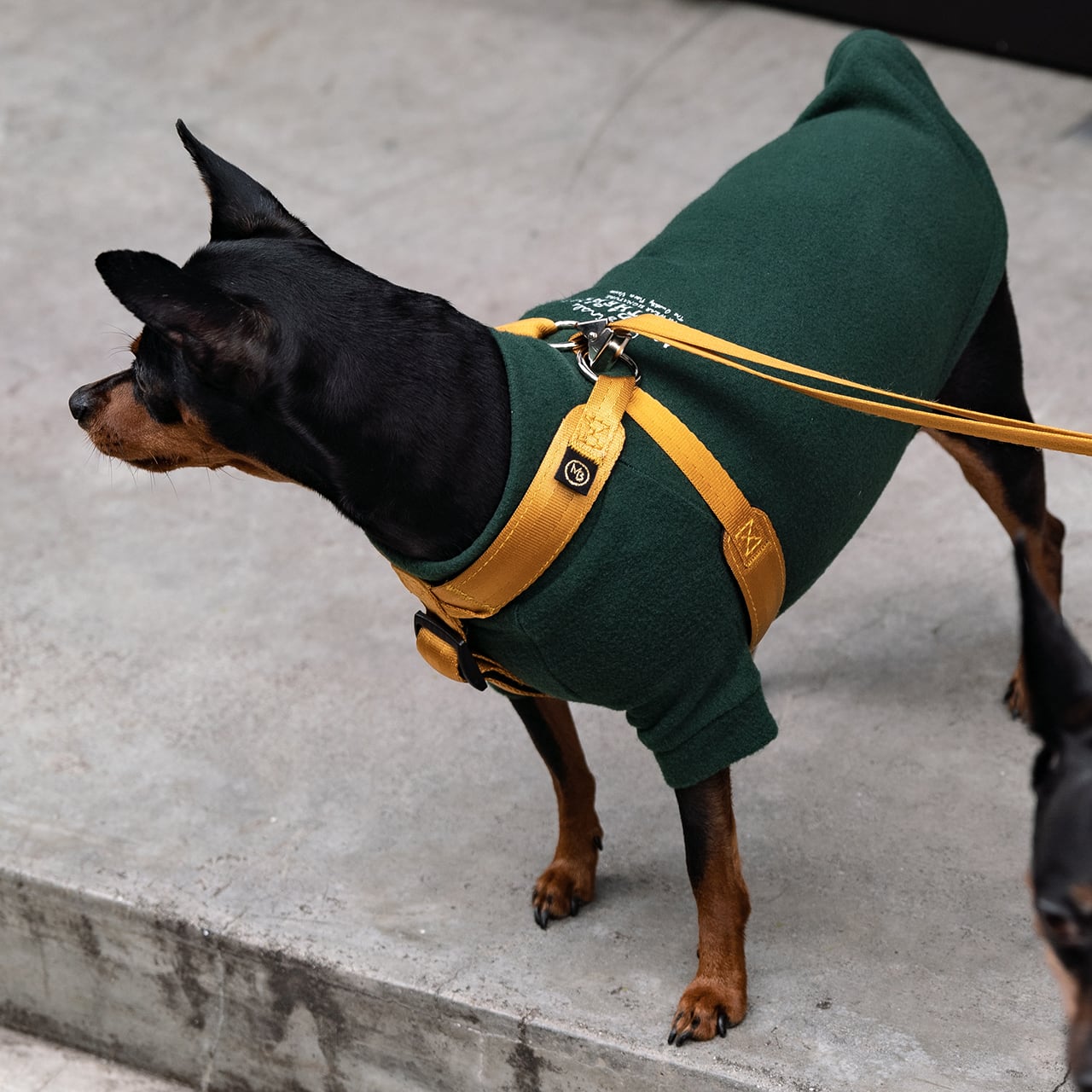 マンダリンブラザーズ クラシックリーシュ リード 犬 猫 男の子 女の子 おしゃれ MANDARINE BROTHERS ケア用品