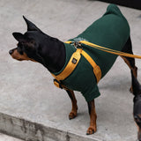 マンダリンブラザーズ クラシックリーシュ リード 犬 猫 男の子 女の子 おしゃれ MANDARINE BROTHERS ケア用品