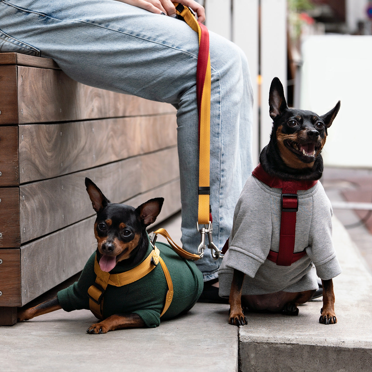 マンダリンブラザーズ クラシックリーシュ リード 犬 猫 男の子 女の子 おしゃれ MANDARINE BROTHERS ケア用品