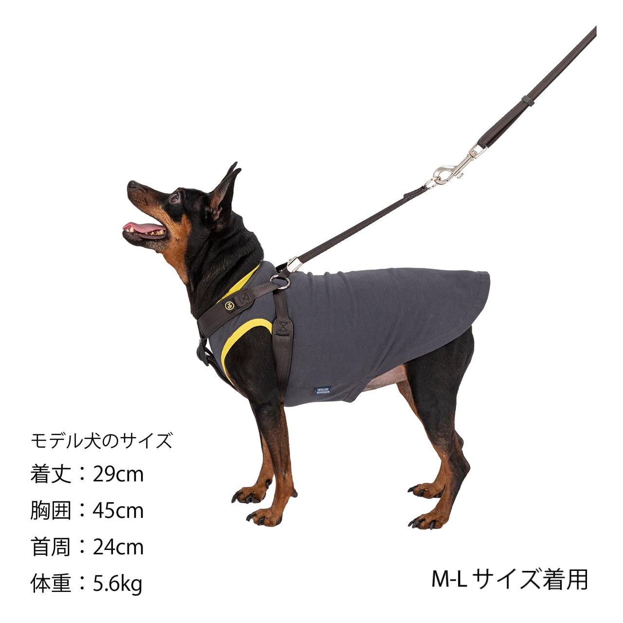 マンダリンブラザーズ クラシックリーシュ リード 犬 猫 男の子 女の子 おしゃれ MANDARINE BROTHERS ケア用品