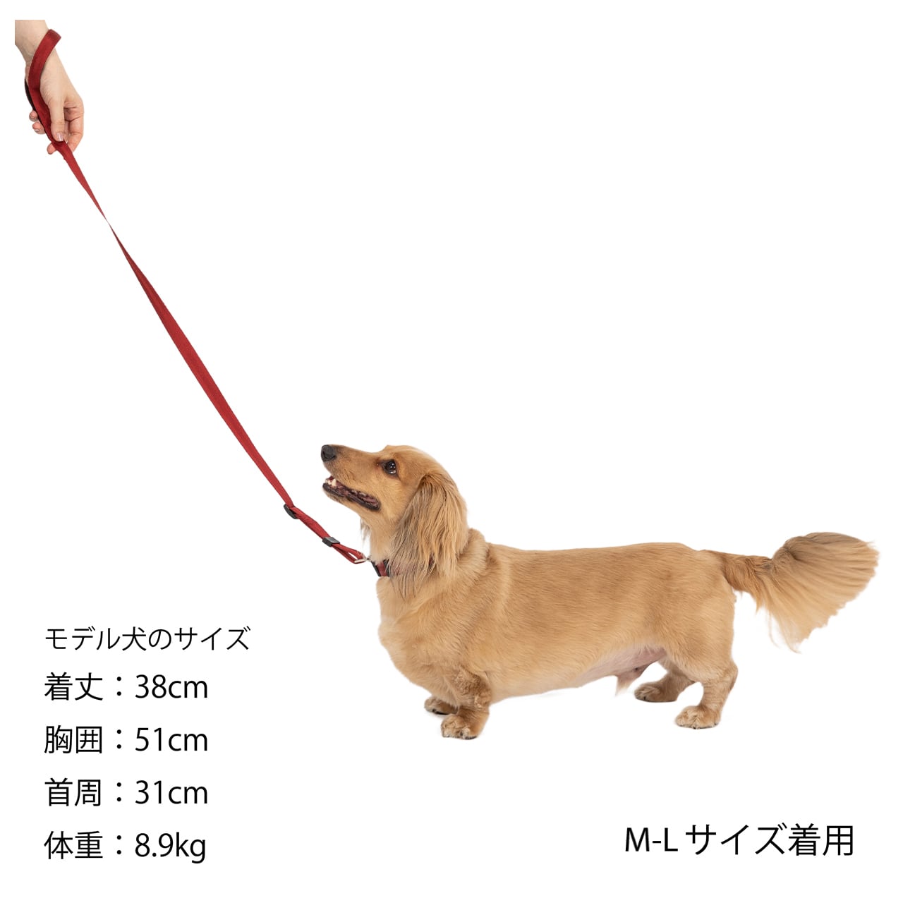 マンダリンブラザーズ クラシックリーシュ リード 犬 猫 男の子 女の子 おしゃれ MANDARINE BROTHERS ケア用品
