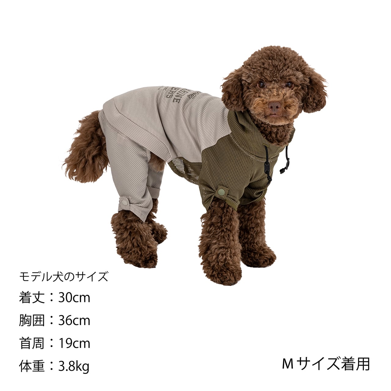 セール マンダリンブラザーズ インセクトシールドメッシュスーツ 防虫 ロンパース ドッグウェア 犬服 男の子 女の子 おしゃれ MANDARINE BROTHERS