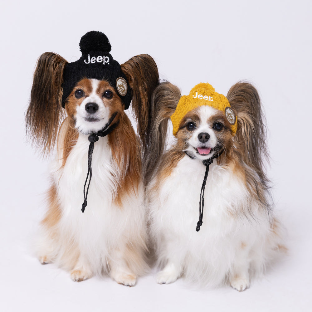 ジープ ニット帽 防寒対策 ペット用 秋 冬 暖かい 犬の帽子ドッグウェア 犬服 男の子 女の子 おしゃれ JEEP