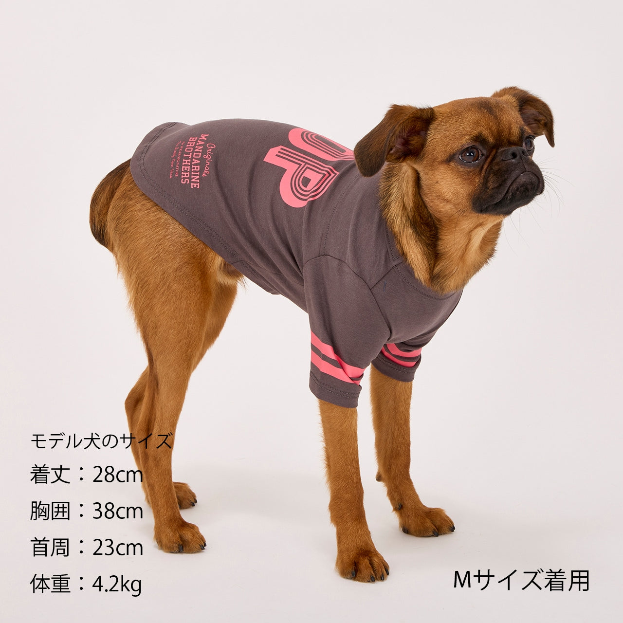 マンダリンブラザーズ ロングスリーブTシャツ ドッグウェア 防虫 長袖 秋 冬 春 男の子 女の子 おしゃれ MANDARINE BROTHERS