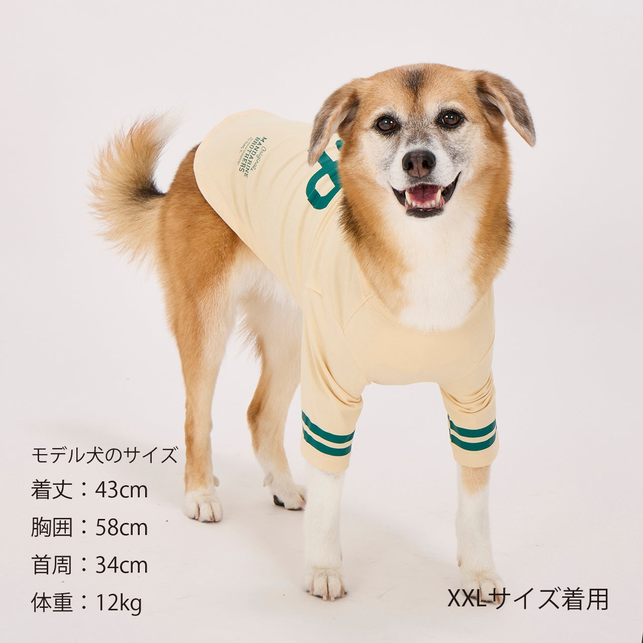 マンダリンブラザーズ ロングスリーブTシャツ ドッグウェア 防虫 長袖 秋 冬 春 男の子 女の子 おしゃれ MANDARINE BROTHERS