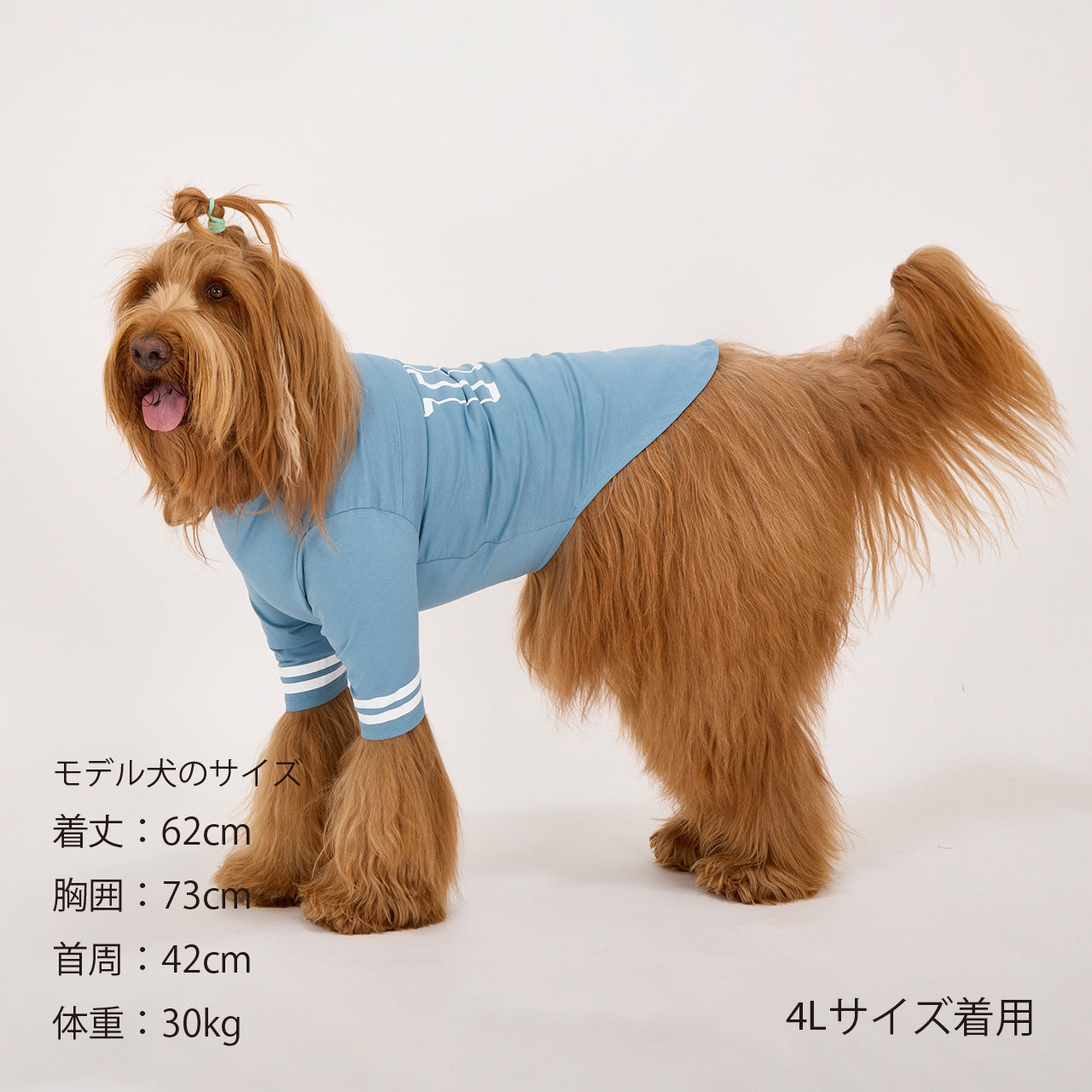 マンダリンブラザーズ ロングスリーブTシャツ ドッグウェア 防虫 長袖 秋 冬 春 男の子 女の子 おしゃれ MANDARINE BROTHERS