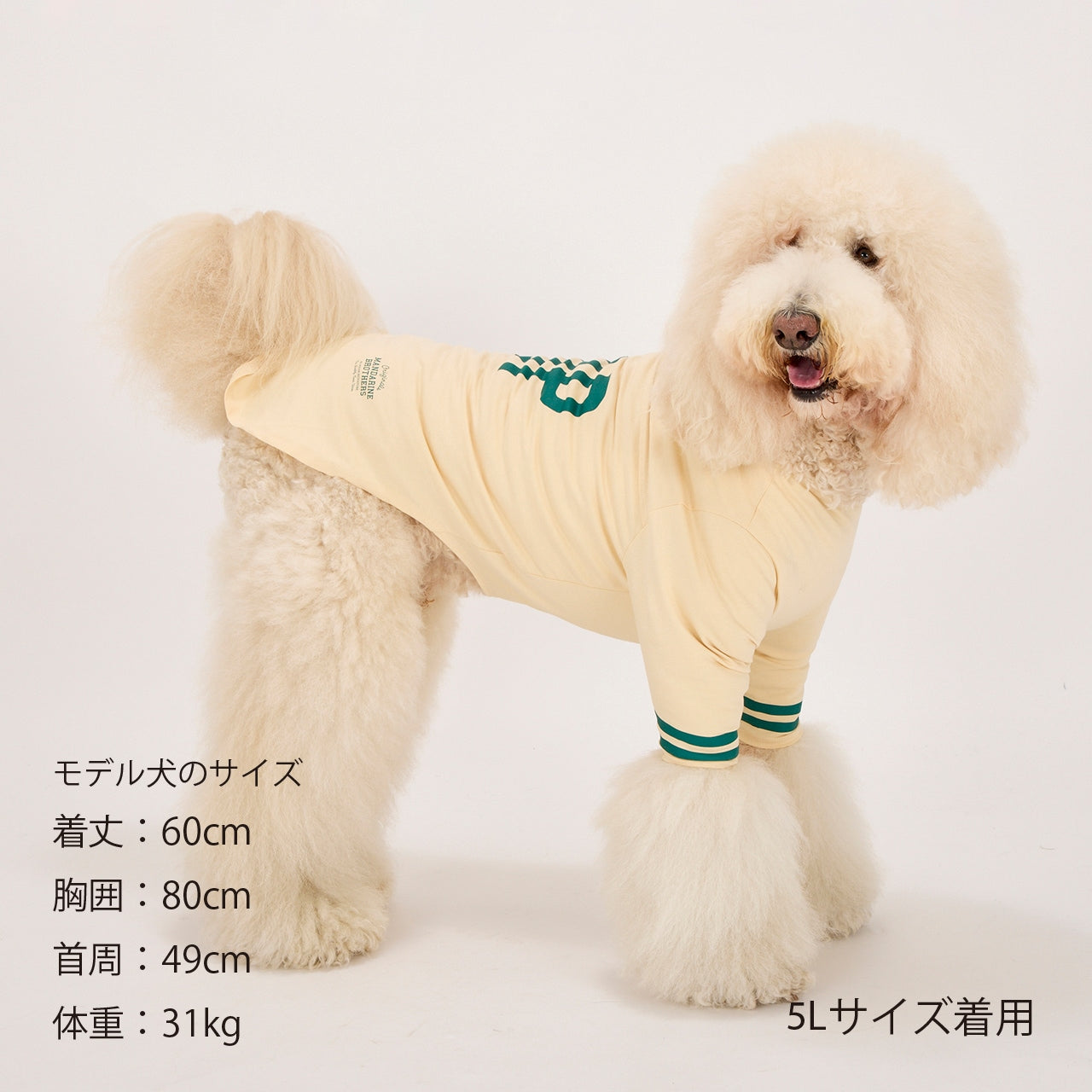 マンダリンブラザーズ ロングスリーブTシャツ ドッグウェア 防虫 長袖 秋 冬 春 男の子 女の子 おしゃれ MANDARINE BROTHERS