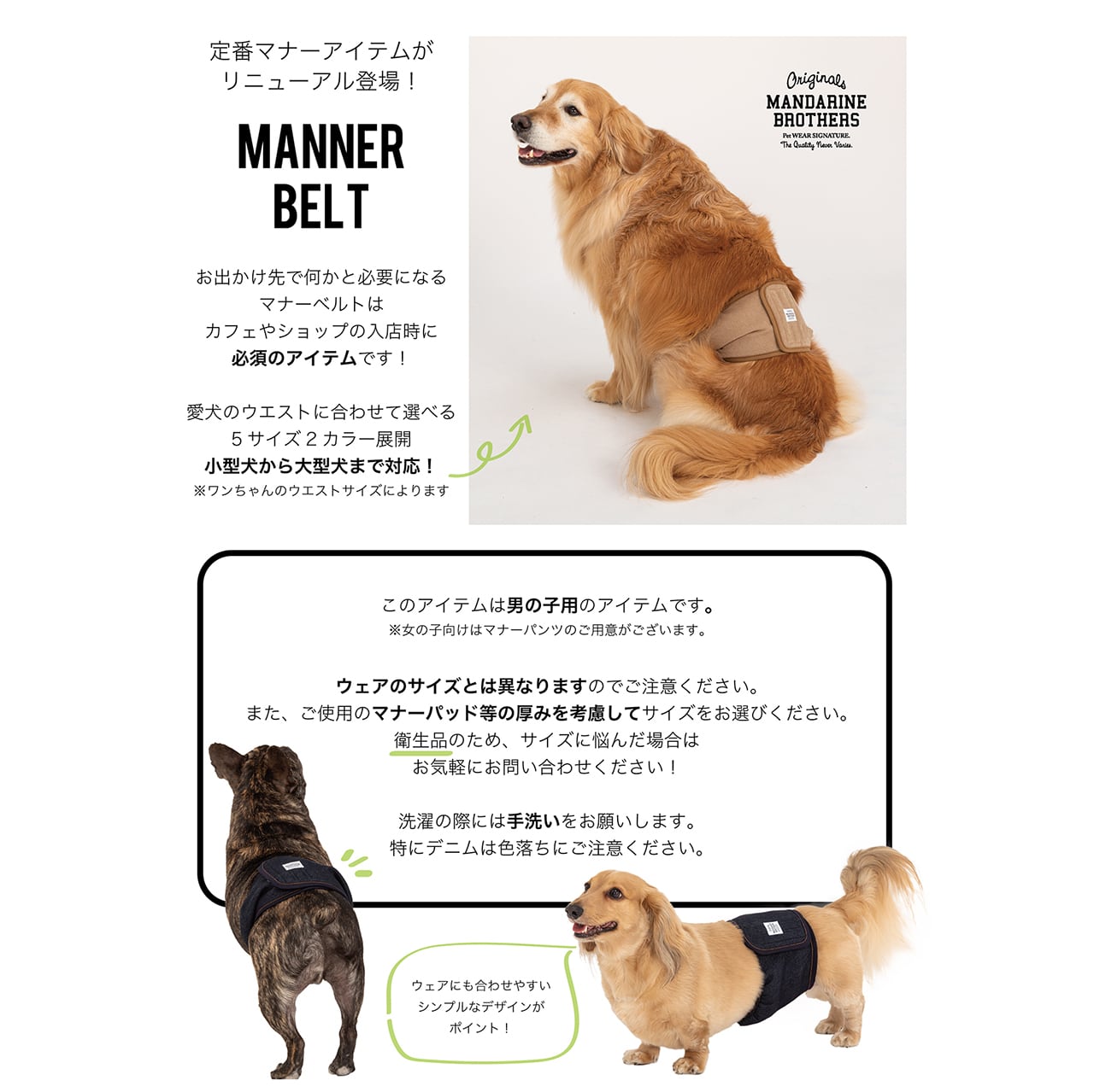 マンダリンブラザーズ マナーベルト オス 男の子 パンツ ドッグウェア 犬服 男の子 おしゃれ MANDARINE BROTHERS