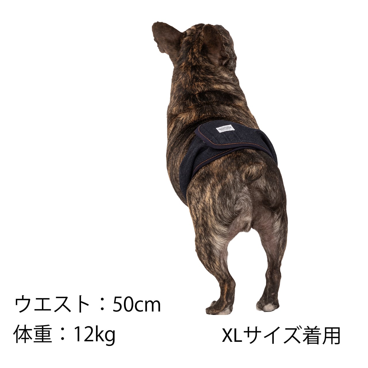 マンダリンブラザーズ マナーベルト オス 男の子 パンツ ドッグウェア 犬服 男の子 おしゃれ MANDARINE BROTHERS
