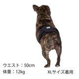 マンダリンブラザーズ マナーベルト オス 男の子 パンツ ドッグウェア 犬服 男の子 おしゃれ MANDARINE BROTHERS