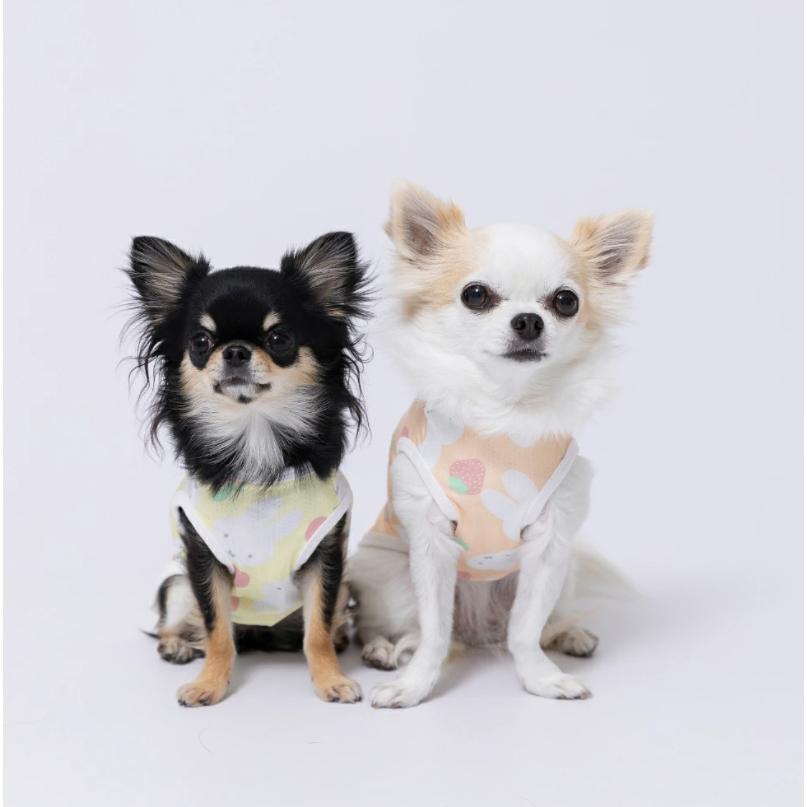 セール ミッフィー クールタンクトップ クール 犬 いぬ 犬服 男の子 女の子 おしゃれ ピーナッツ MIFFY miffy