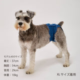 マンダリンブラザーズ マナーパンツ メス 女の子 パンツ ドッグウェア 犬服 犬 おしゃれ MANDARINE BROTHERS