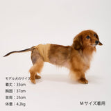 マンダリンブラザーズ マナーパンツ メス 女の子 パンツ ドッグウェア 犬服 犬 おしゃれ MANDARINE BROTHERS