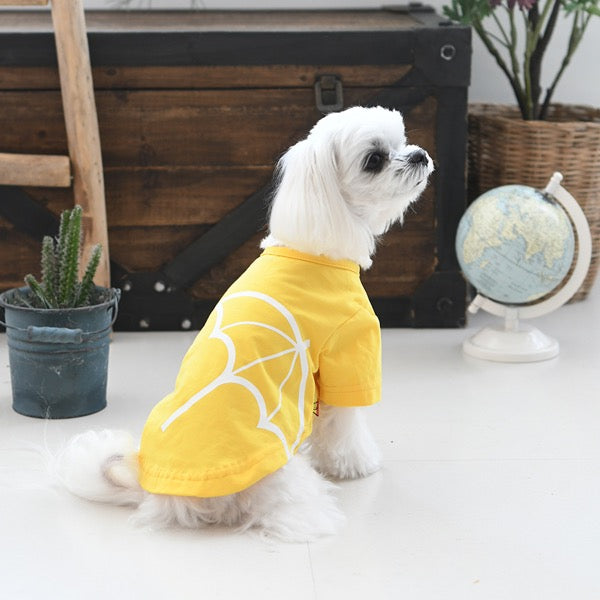 セール アーノルドパーマー クール加工 虫除け加工 ビッグアンブレラプリントTシャツ 犬服 男の子 女の子 おしゃれ Arnold Palmer