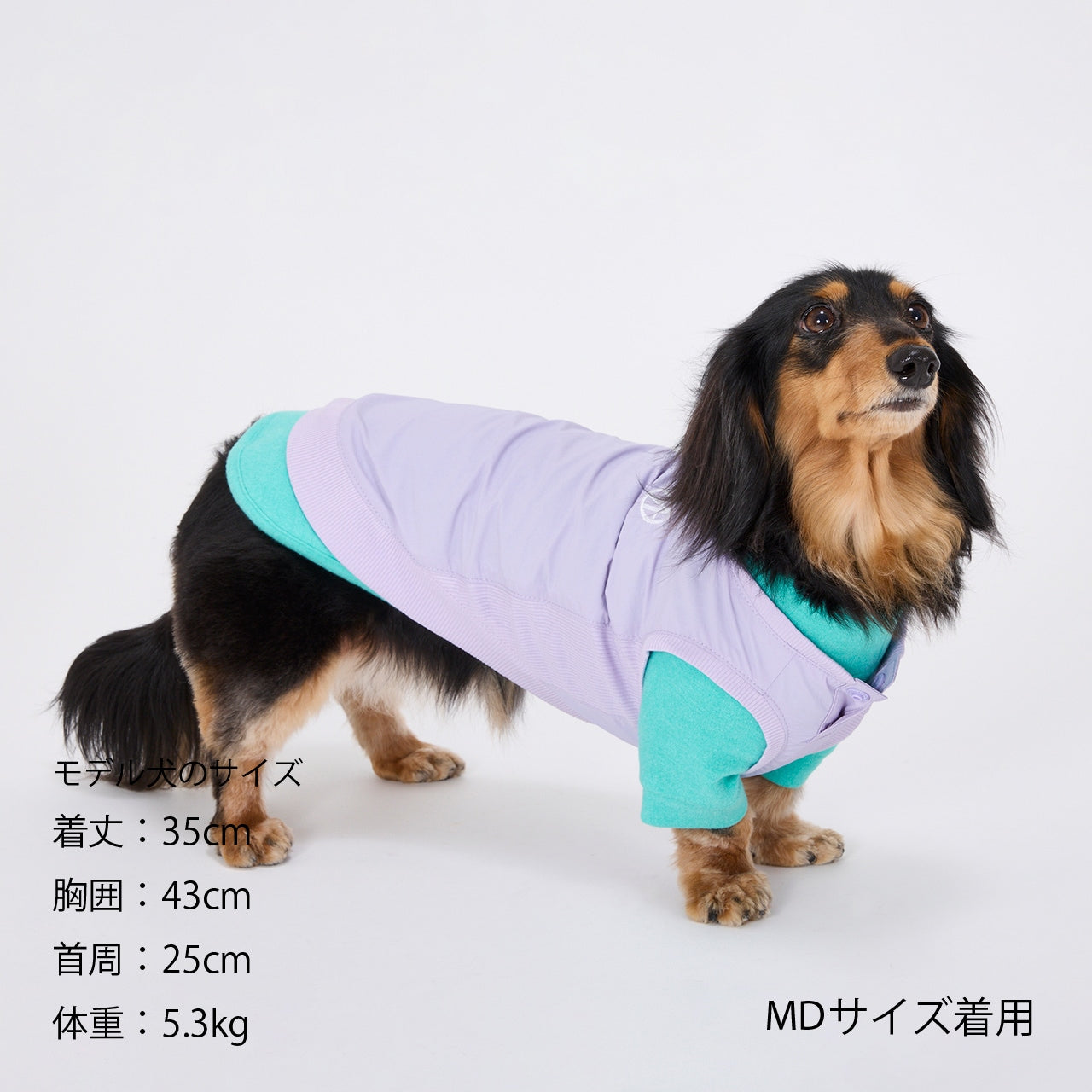 マンダリンブラザーズ ピステ ドッグウェア 撥水加工 防寒 アウター 雨具 軽量 男の子 女の子 おしゃれ MANDARINE BROTHERS