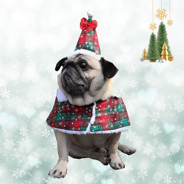 ウィズワン クリスマス 犬 ケープ ポンチョ サンタクロース イベント