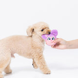 セサミストリート フェイストイ おもちゃ ドッグトイ 犬 猫 ドッグウェア 犬服 男の子 女の子 おしゃれ SESAME STREET