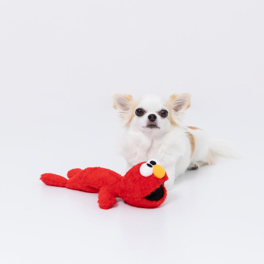 セサミストリート くったりトイ おもちゃ ドッグトイ 犬 猫 ドッグウェア 犬服 男の子 女の子 おしゃれ SESAME STREET