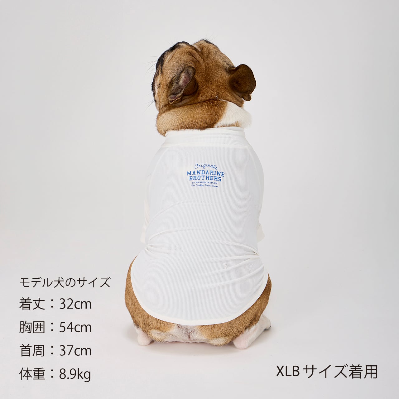 マンダリンブラザーズ スキンタイトクールTシャツ 接触冷感 クール ドッグウェア 犬服 男の子 女の子 おしゃれ MANDARINE BROTHERS