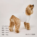 マンダリンブラザーズ スキンタイトクールTシャツ 接触冷感 クール ドッグウェア 犬服 男の子 女の子 おしゃれ MANDARINE BROTHERS