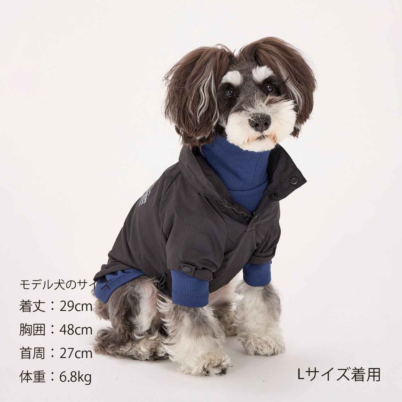 マンダリンブラザーズ ウィンドブレーカー フード ドッグウェア 撥水加工 防寒 アウター 雨具 軽量 男の子 女の子 おしゃれ MANDARINE BROTHERS