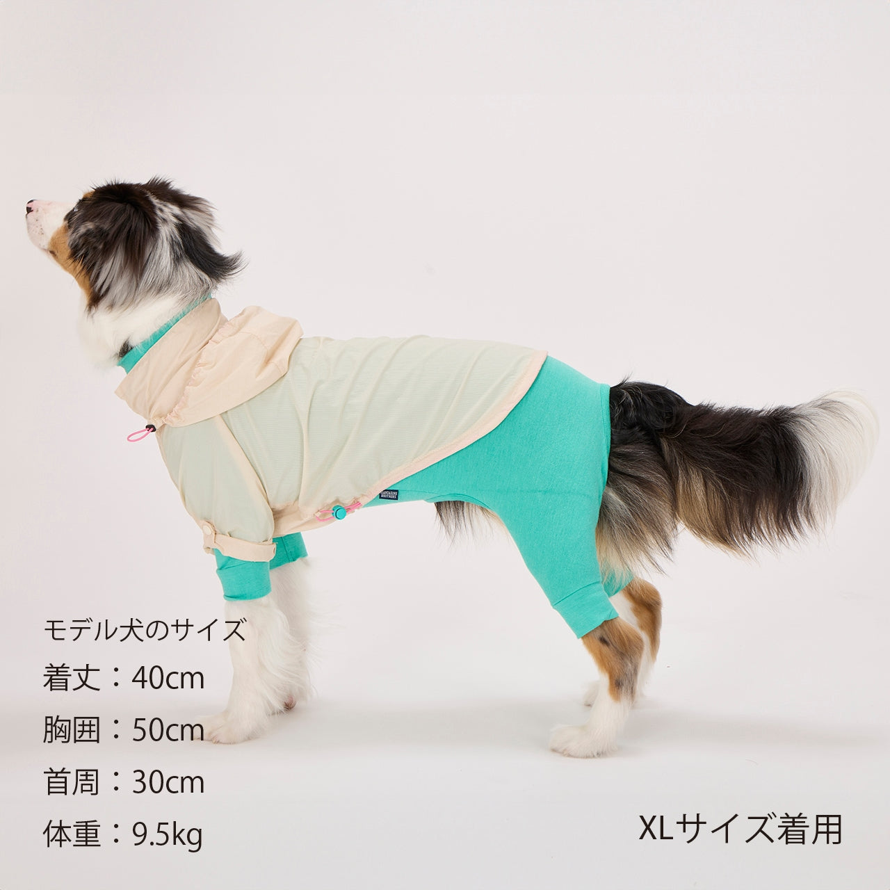 マンダリンブラザーズ ウィンドブレーカー フード ドッグウェア 撥水加工 防寒 アウター 雨具 軽量 男の子 女の子 おしゃれ MANDARINE BROTHERS