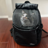 マンダリンブラザーズ ウィンストンハグバッグラージ キャリーバッグ ドッグウェア 犬 猫 男の子 女の子 おしゃれ MANDARINE BROTHERS