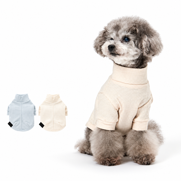 グンゼ ポップコーンニット Tシャツ 小型犬 綿100% 犬服 ペット服