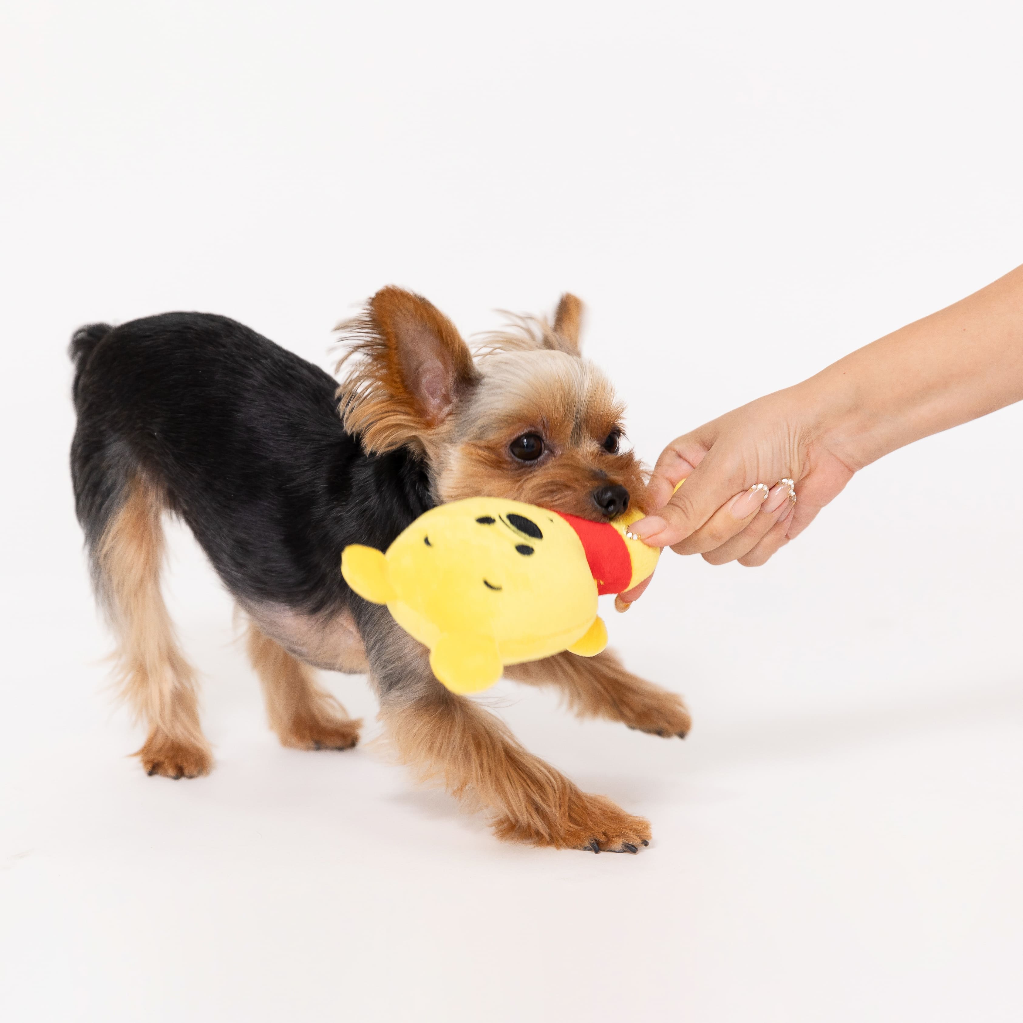 セール ディズニー ミッキー ぷらぷらトイ おもちゃ ドッグトイ 犬服 男の子 女の子 おしゃれ Disney