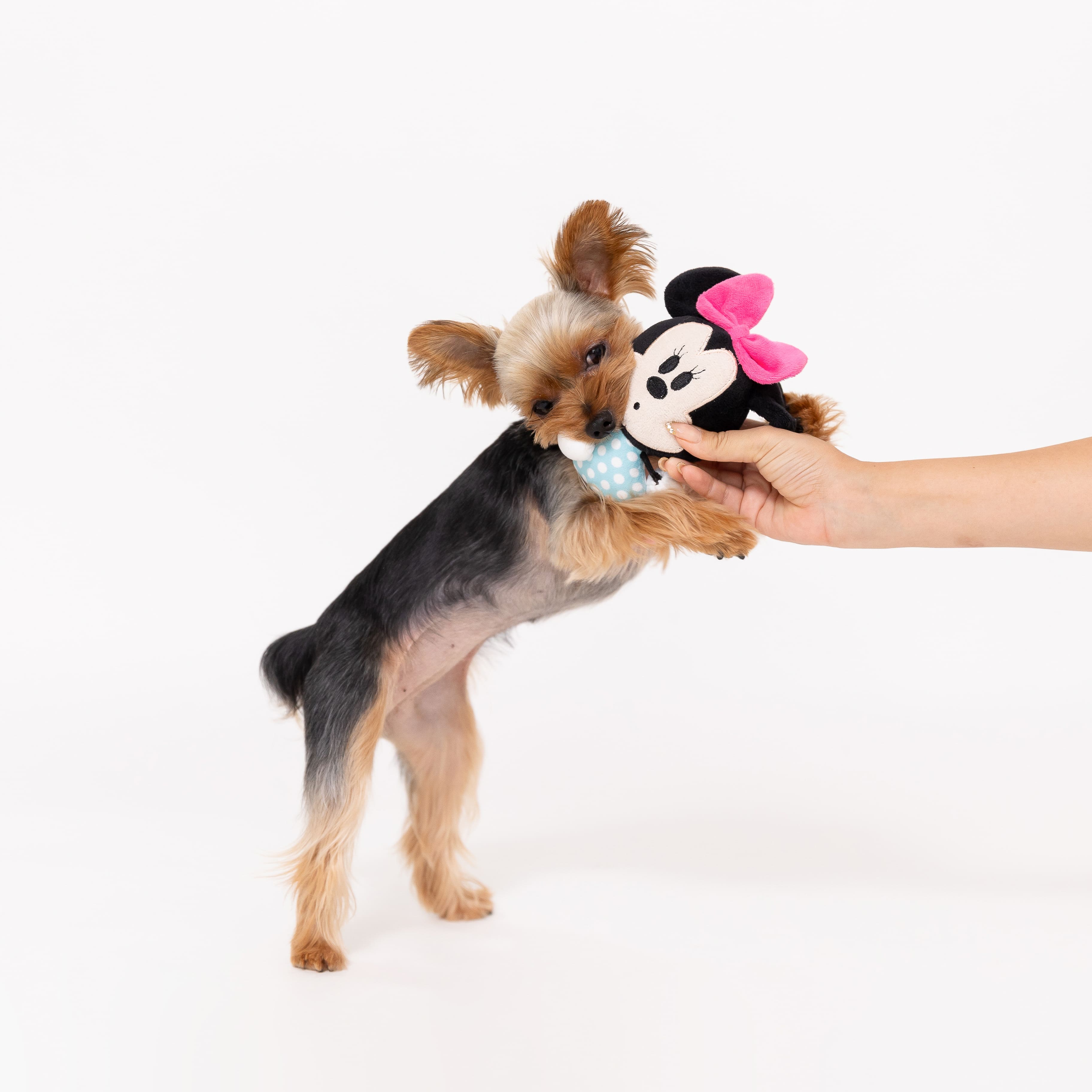 セール ディズニー ミッキー ぷらぷらトイ おもちゃ ドッグトイ 犬服 男の子 女の子 おしゃれ Disney