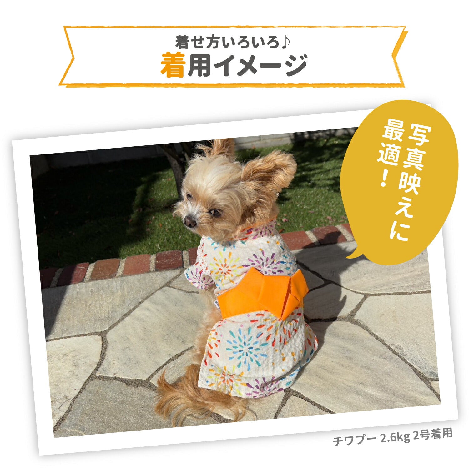 セール ピピ 花火 甚平 浴衣 ドッグウェア ゆかた 着物 花火 春 夏 春夏 お祭り 夏祭り イベント 着脱簡単 犬服 男の子 女の子 おしゃれ PIPI