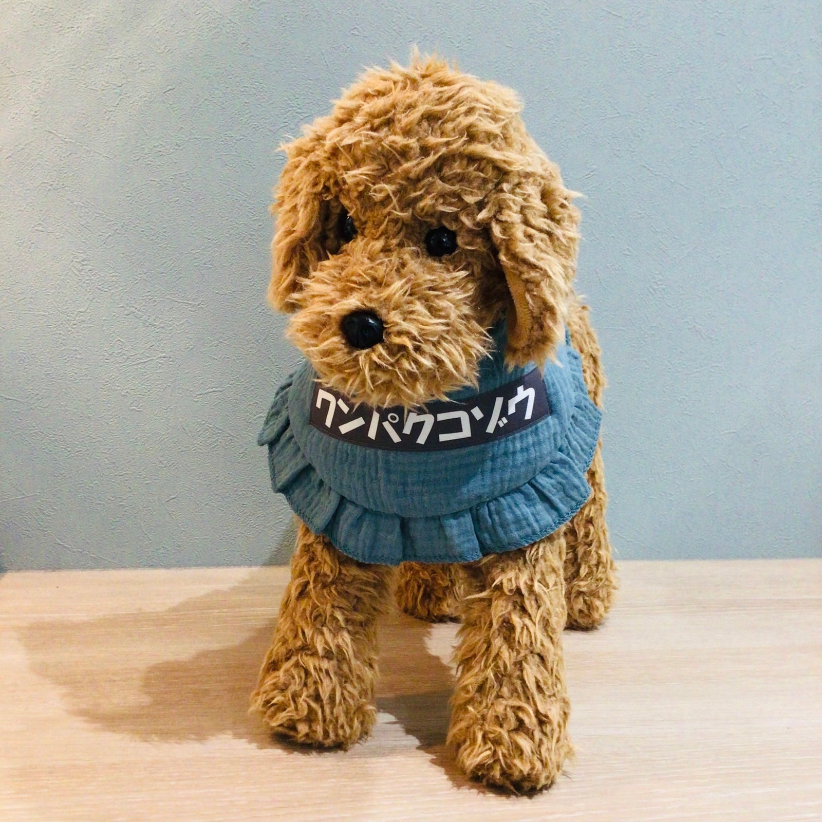 ウィズワン メッセージ ケープ つけ襟 バンダナスタイ イベント アクセサリー 犬 猫 男の子 女の子 おしゃれ with WaN