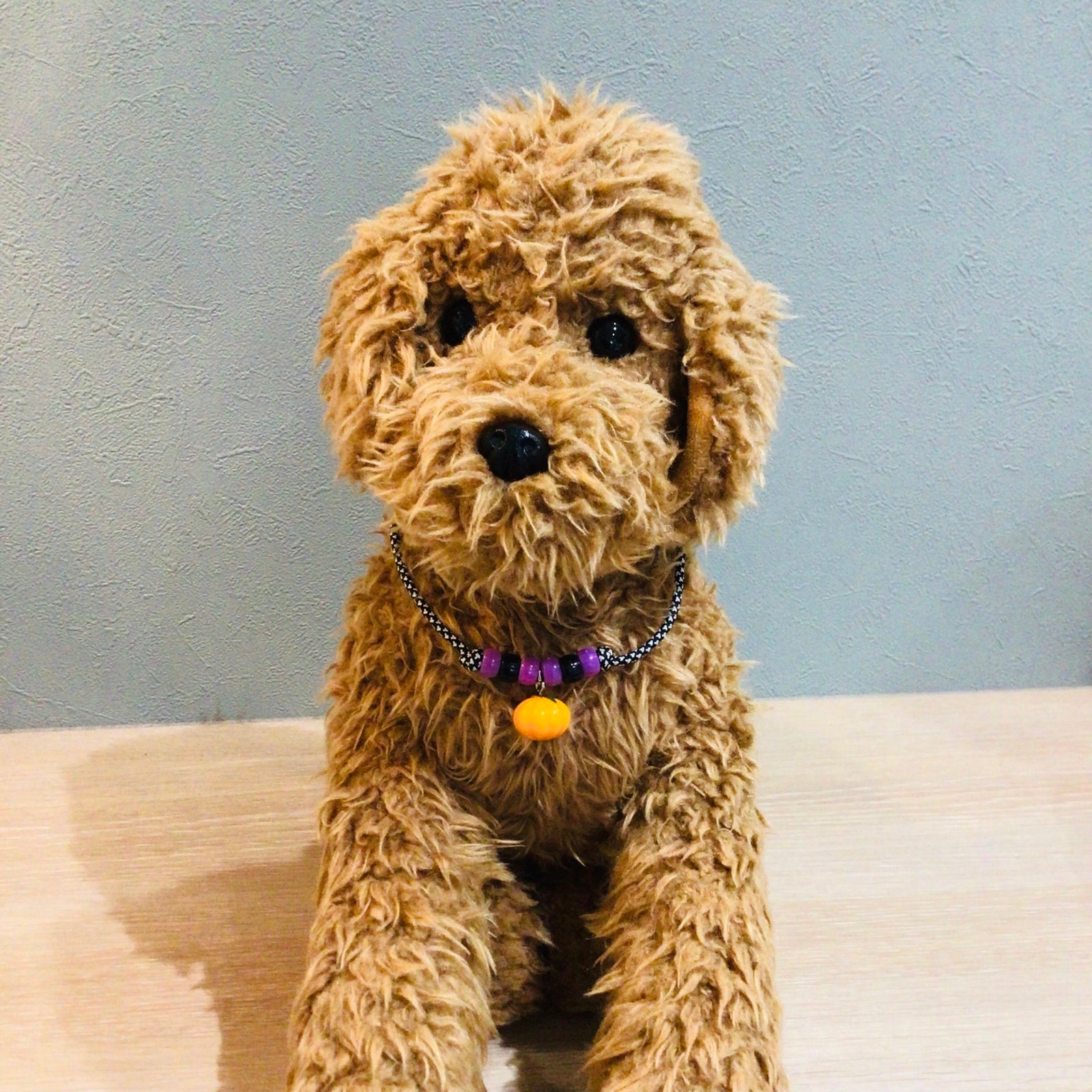 ウィズワン ハロウィン チョーカー ハロウィーン かぼちゃ ハンドメイド 手作り 犬 猫 男の子 女の子 おしゃれ with WaN