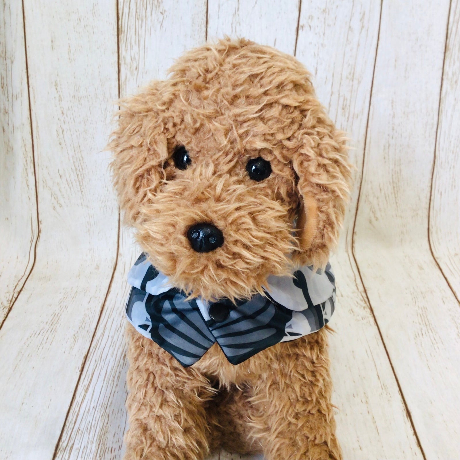 ウィズワン 鯉のぼり ハンドメイド 犬 ケープ ポンチョ マント こどもの日 イベント 猫 犬服 おしゃれ 男の子 女の子 with WaN